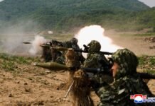 Операторы дронов из Северной Кореи корректируют удары по ВСУ в Сумской области – видео