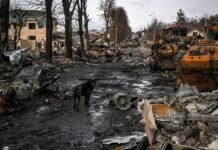 Украина установила личность россиянина, который стоит за убийствами 17 мирных жителей Бучи