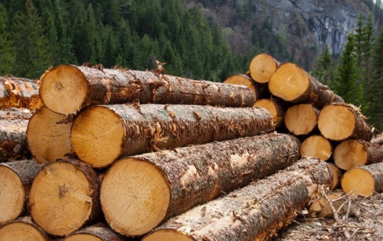 Украина запретила экспорт необработанной древесины