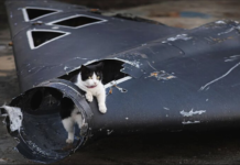 Германия продолжает платить Путину миллиарды: как немецкие компании финансируют войну через налоги