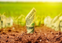 Ценники на землю в Украине снова переписали: в одной из областей они просто зашкаливают