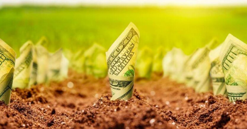 Ценники на землю в Украине снова переписали: в одной из областей они просто зашкаливают