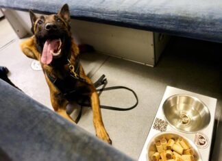 УЗ переоборудовала 100 нерабочих вагонов в «вагоны несокрушимости» со Starlink и обогревом – фото