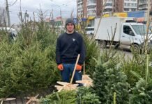 Ялинки, сосни, в’язані дерева: за скільки можна придбати новорічну красуню на Привокзальному