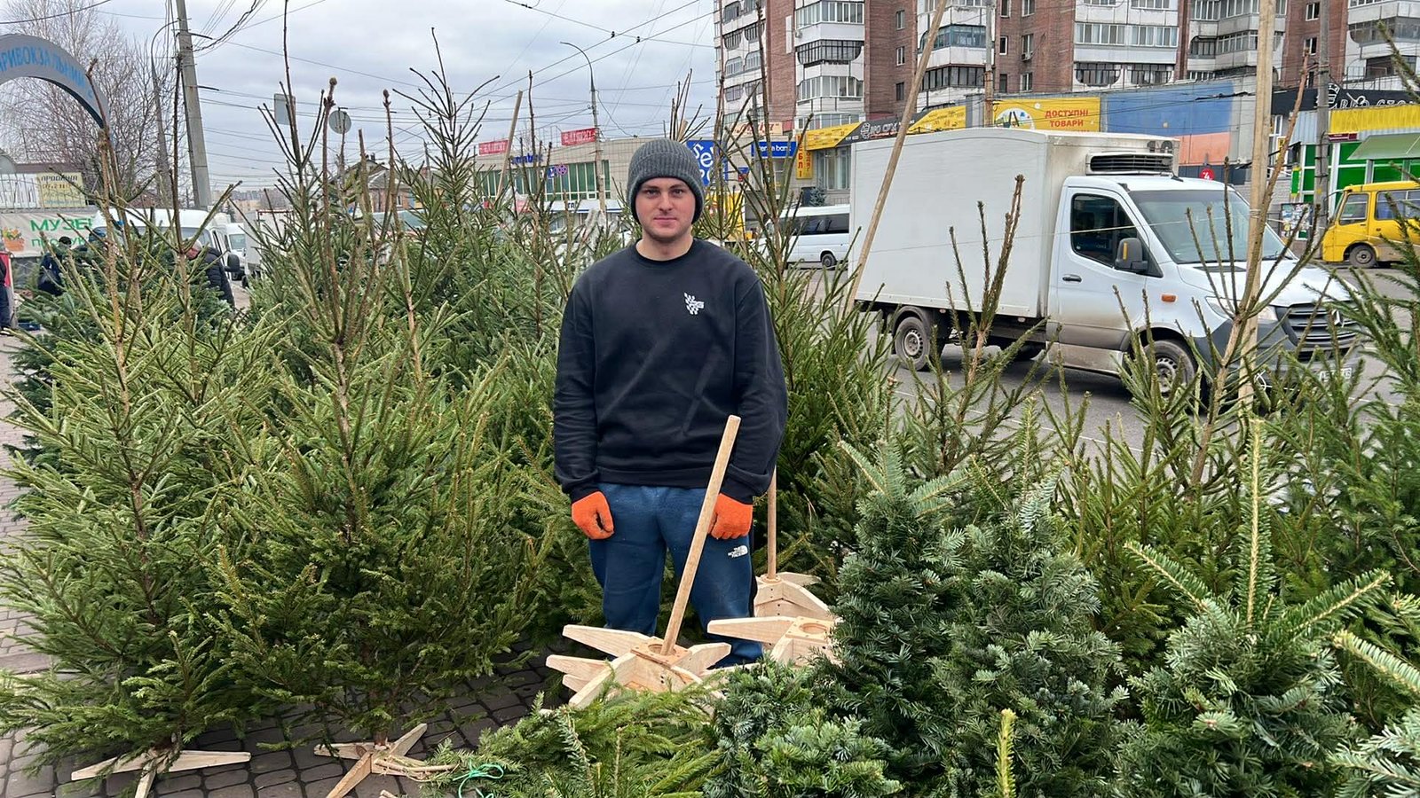 Ялинки, сосни, в’язані дерева: за скільки можна придбати новорічну красуню на Привокзальному
