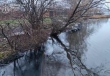 Викид мазуту у Ладижинське водосховище: прокуратура розпочала розслідування
