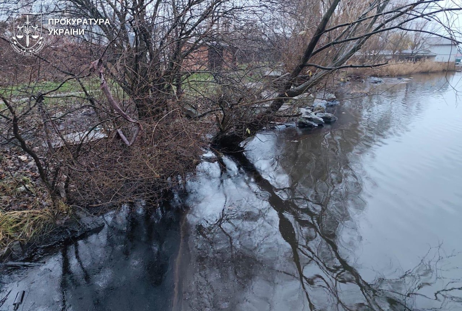 Викид мазуту у Ладижинське водосховище: прокуратура розпочала розслідування