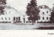 Рештки палацу серед лісу: історія маєтку родини Собанських у Сумівці