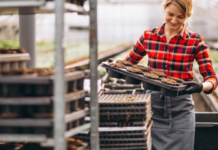 Забудьте о Польше: где украинцам готовы платить 50 тысяч евро зарплаты