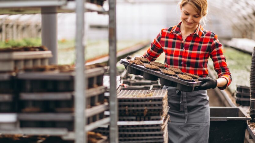 Забудьте о Польше: где украинцам готовы платить 50 тысяч евро зарплаты