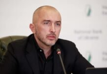 «Наверное, третья декада февраля». Пышный назвал возможные сроки принятия программы МВФ