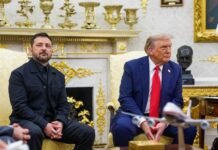 Зеленский надеется на реакцию РФ по «20 пунктам» до согласования других вопросов с Трампом