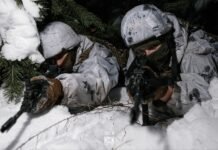 В ВСУ подтвердили заход россиян в Терноватое Запорожской области, но поселок уже зачистили