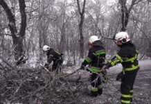 Повалені дерева і заблоковані «екстренки»: на Вінниччині ліквідують наслідки негоди