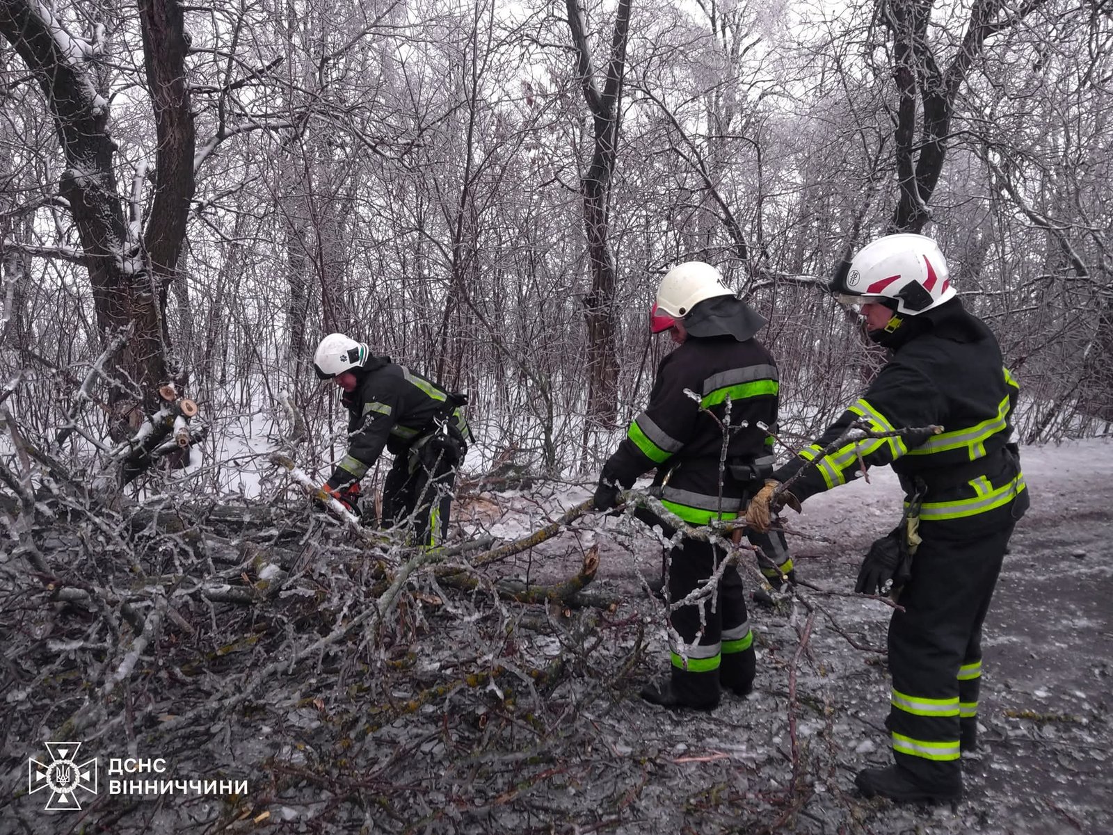 Повалені дерева і заблоковані «екстренки»: на Вінниччині ліквідують наслідки негоди