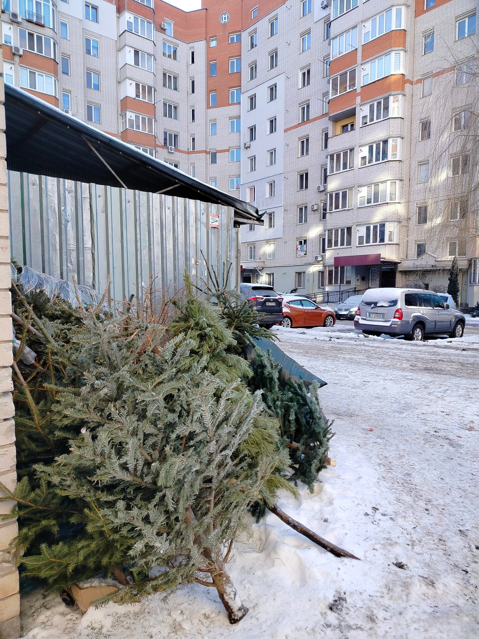 У Вінниці новорічні ялинки перетворюють на щепу та тепло