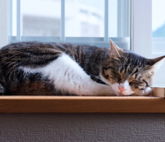 Единственный теплый день: мощный антициклон принесет в Украину адский холод