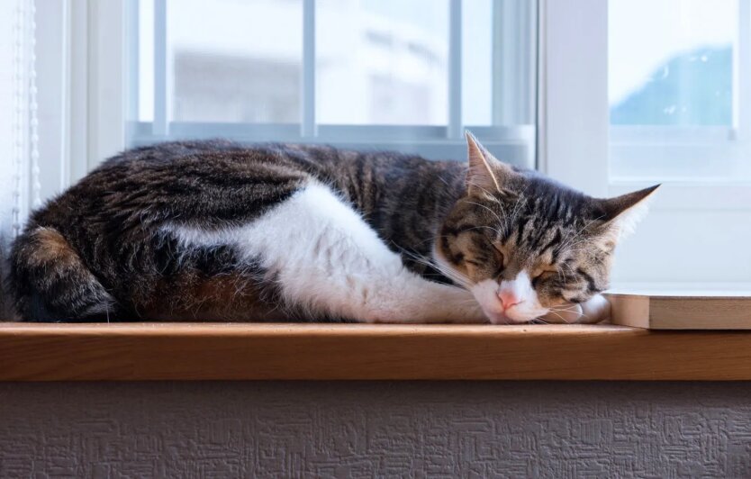 Единственный теплый день: мощный антициклон принесет в Украину адский холод