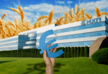 Первый выпуск еврооблигаций в большую войну. Почему успех МХП важен для других компаний