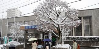 В Японии проходят досрочные парламентские выборы. Победу прогнозируют действующему премьеру