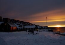 НАТО запустило новую миссию в Арктике после претензий Трампа на Гренландию