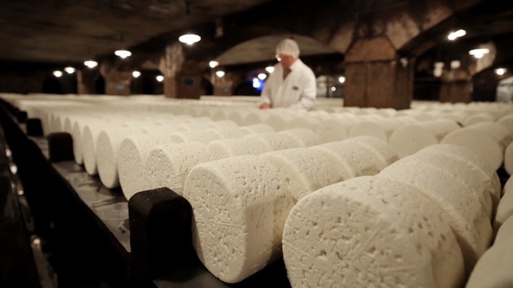 Европейские сыры не пострадают: Китай значительно уменьшил пошлины на некоторую молочку из ЕС