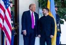 Зеленский: Для Трампа нет большей победы, чем остановить войну между Россией и Украиной