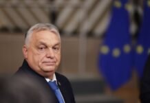 Орбан ответил на заявление Зеленского о «наращивании живота, а не армии»