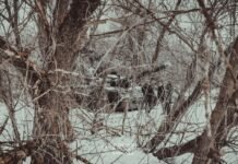 Bloomberg: Россия может выйти из мирных переговоров, если Украина не согласится отдать территории