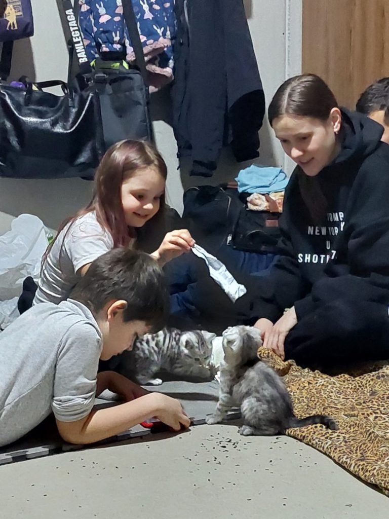 Місяць у бункері в Маріуполі: історія 11-річного Роми (соціальна реклама)