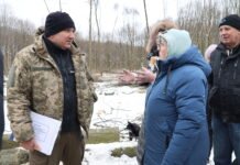 Мешканці масиву «Версаль» у Вінниці заявили про масову вирубку лісу: що кажуть люди та лісівники