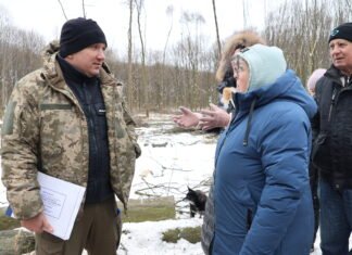 Мешканці масиву «Версаль» у Вінниці заявили про масову вирубку лісу: що кажуть люди та лісівники