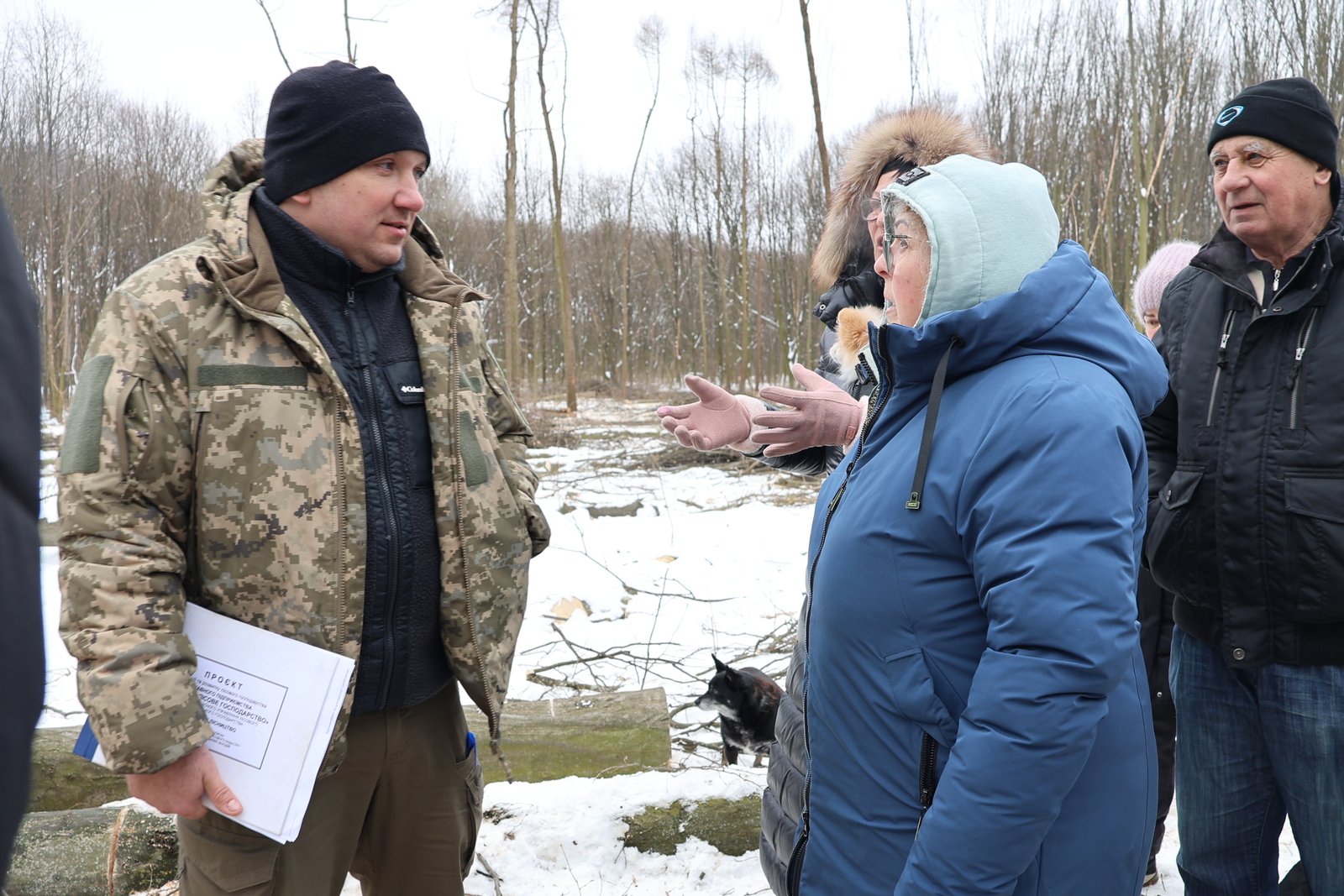 Мешканці масиву «Версаль» у Вінниці заявили про масову вирубку лісу: що кажуть люди та лісівники