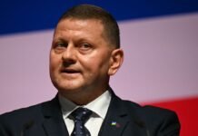 Залужный сделал заявление о политической карьере