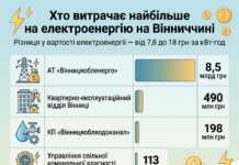 Заряджені на 100%. Хто найбільше купує електоенергії на Вінниччині