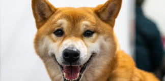 Температурный взрыв: когда в Украину придет летнее тепло