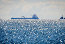 Новый гарант безопасности: Израиль планирует взять под контроль ближневосточную нефть