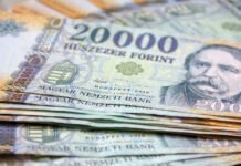Венгерский форинт перед выборами стал худшей валютой среди развивающихся рынков
