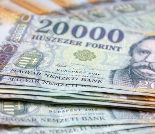 Венгерский форинт перед выборами стал худшей валютой среди развивающихся рынков