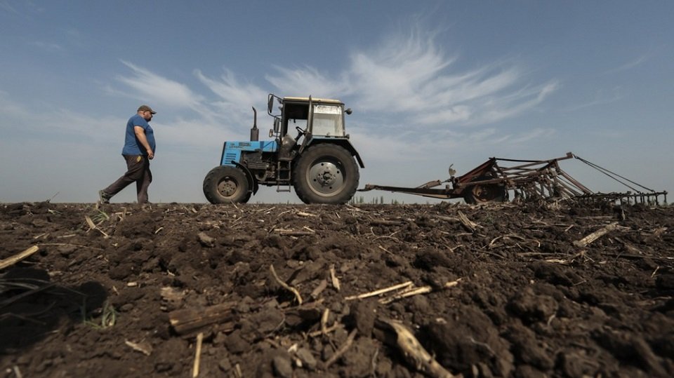 Небанковские финучреждения будут выдавать кредиты фермерам под гарантии государства – список