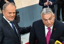 «Мы уже давно подозревали». Возможные звонки Сийярто Лаврову прокомментировали в Польше