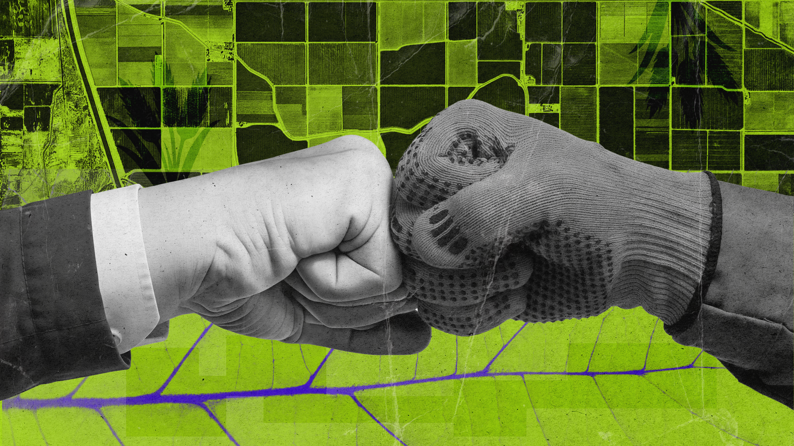 Финансирование для агросектора. Как украинским компаниям получить инвестиции от фонда Food4Impact