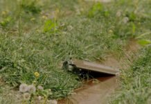 Флеш показал кадры сброса мин с «шахеда» – видео