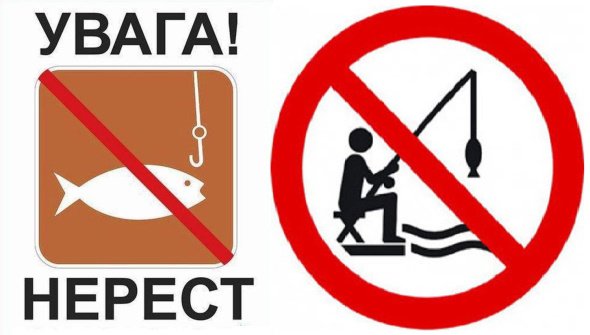 На Вінниччині розпочинається нерест. Коли і де діятимуть обмеження на вилов риби