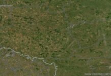 На картах NASA — десятки пожеж! На Вінниччині почався сезон паління листя. Чим це небезпечно?