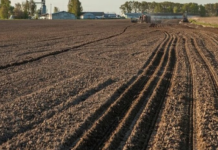 Земельные участки украинцев внепланово проверят: к кому нагрянут инспекторы