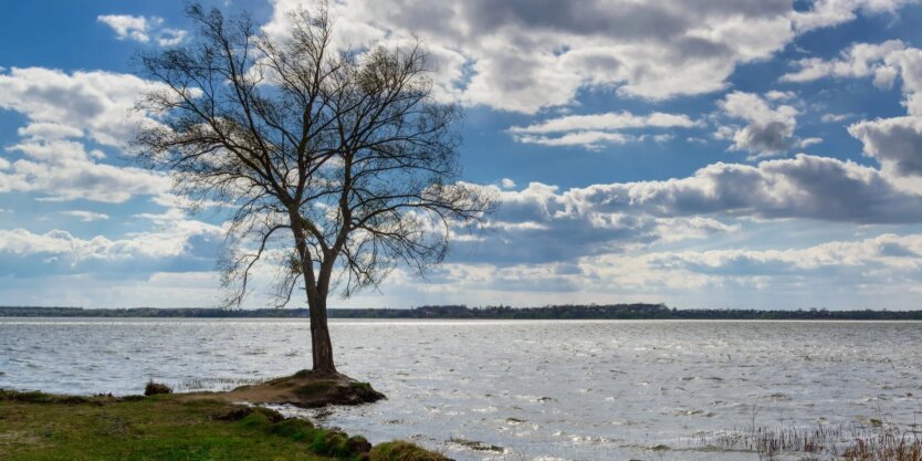 Ночные заморозки возвращаются: Диденко предупредила, какие области «накроет» первыми