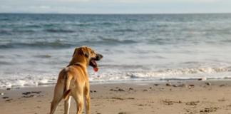 Резкое похолодание и дожди: синоптик назвала последнюю теплую дату