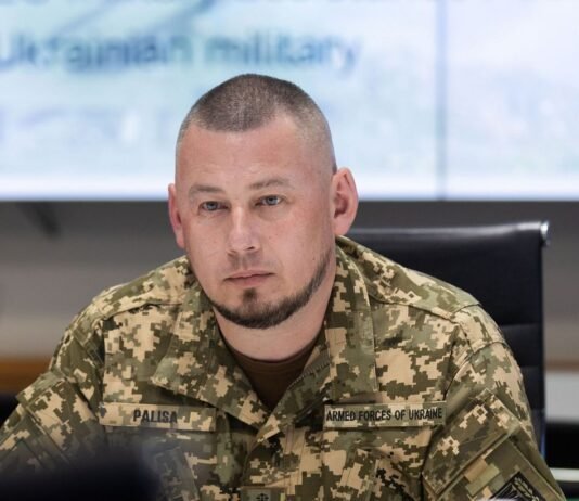 Все военные в Украине будут иметь четкие сроки службы и отсрочку после контракта, — Палиса