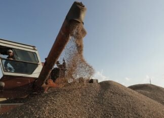 Türkiye Today: РФ привлекла частный сектор к продаже ворованного украинского зерна в Сирию
